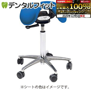 y撅100~OFFN[|+Gg[P5{ 12/4-12/11zSalli`FA[[Salli Sway] ~h^Cv (u[) J̕ԕis  ֎q p T[`FA[