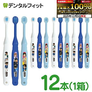 y撅100~OFFN[|+Gg[P5{ 12/4-12/11zqǂpuV 2`6Ό TRi 12{ / GrX EBiSU q uV yz