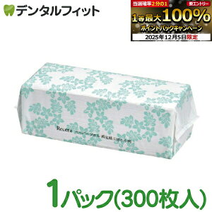 y撅100~OFFN[|+Gg[P5{ 12/4-12/11zZ y[p[^IĐLight / 1pbN(300) Đ100 G{XH nCA pbP[W