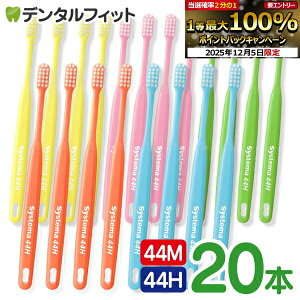 y撅100~OFFN[|+Gg[P5{ 12/4-12/11zCI fg VXe} uV 44M /44H (RpNgwbh) 20{ DENT. / DENT.EX systemayCI VXe}z yz