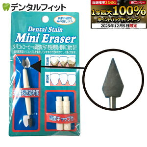 y撅100~OFFN[|+Gg[P5{ 12/4-12/11zf^EXeCE~jC[T[ ̏S 1 Lbvt