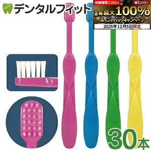 y50%OFFzuV q Ci LbY Mӂ 1(30{)yCifBJz