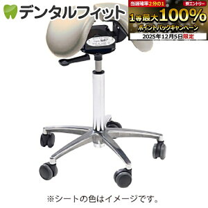 y撅100~OFFN[|+Gg[P5{ 12/4-12/11zSalli`FA[[Salli Sway] {v ~h^Cv (x[W) J̕ԕis  ֎q p T[`FA[