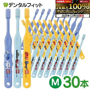 y撅100~OFFN[|+Gg[P5{ 12/4-12/11zCi g~J502 3FA\[g Mӂ 30{yCifBJ uVzi[2_܂Łjy[֑Iőz