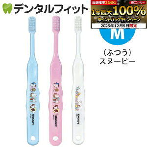 y40%OFFzCi 502 Xk[s[ 3FA\[g Mӂ 3{yCifBJ uVz