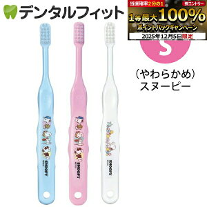 y40%OFFzCi 503 Xk[s[ 3FA\[g S炩 3{yCifBJ uVz