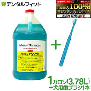 yGg[P5{+撅100~OFFN[| 12/4-12/11zyLJmszmoTVv[0.5(RfBVi[) 1K(3.78L) 1{ + CiV 1{̂܂tI