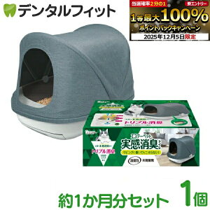 y撅100~OFFN[|+Gg[P5{ 12/4-12/11zGXe[ GXe[ybg LgC LpVXegC 1Zbg 1 yz