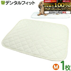 yGg[P5{+撅100~OFFN[| 12/4-12/11zxbhɂgL}bg MTCY(50×60cm) 1 HappyDays nbs[fCY ybgV[c L}bg ېOK 􂦂 R ybg}bg y