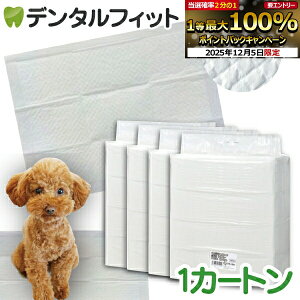 y撅100~OFFN[|+Gg[P5{ 12/4-12/11zCiƖpybgV[c X^ 1J[g(4pbN) M[(1200) Ch(600) X[p[Ch(300) yz