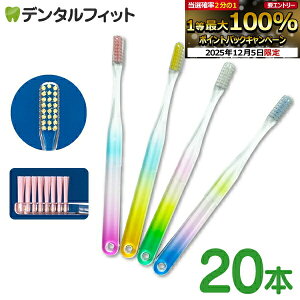 y30%OFFzCi x[VbN C{[ tbg Mӂ 20{ ^ uV { NAyCifBJ uVz ([1_܂)y[֑Iőz