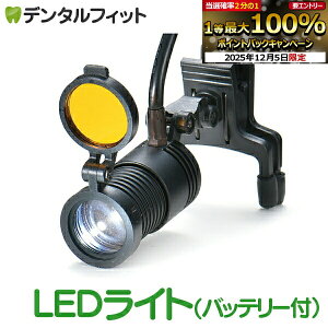 y撅100~OFFN[|+Gg[P5{ 12/4-12/11zȗp[y LEDCg ubN(obe[tj[y͕ʔł yz