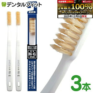 GrX ؖюuV  3{Zbg ̃Gi₳鍂ؖюuV EBiSU B-T35 VRт̃nuV R^Jbg̐[WAтŎCɗDꂽʂ𔭊 zCg F(