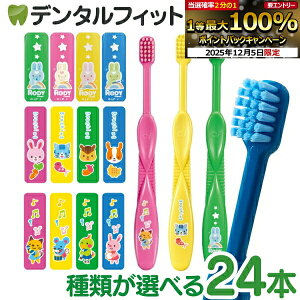 y50%OFFzuV q CiLbY G 24{Zbg fB ubVO fB RODY i[2_܂ŁjyCifBJzy[֑Iőz