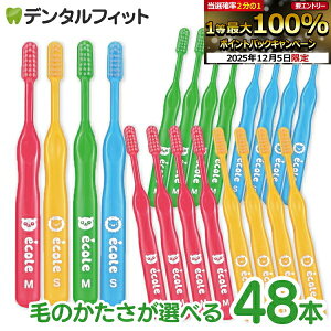 y50%OFFzZ GR c`wp uV (Mӂ/S炩) 48{