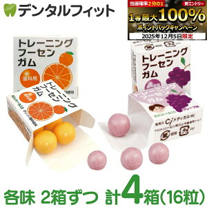 yGg[P5{+撅100~OFFN[| 12/4-12/11zLVg[K Ȑp g[jO t[ZK(4×4) O[v & IW e2 DK LVg[z Ԃǂ