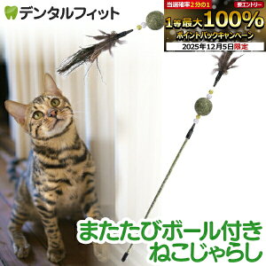 y撅100~OFFN[|+Gg[P5{ 12/4-12/11z܂у{[t˂炵yLbgjbv {[ XgX  ] V r߂ ^ H }^^r LObYz