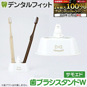 yGg[P5{+撅100~OFFN[| 12/4-12/11zuVX^hW (TGh) HB-3557 1ynV[ gbvC Hashy D  nuV y ӗ 킢 Mtg v[g