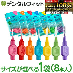 y撅100~OFFN[|+Gg[P5{ 12/4-12/11zey TePe ԃuV IWiԃuV 1܁y8{zpLbv1ti4S/3S/SS/S/M/L/LLj XEF[f IDuV C a\