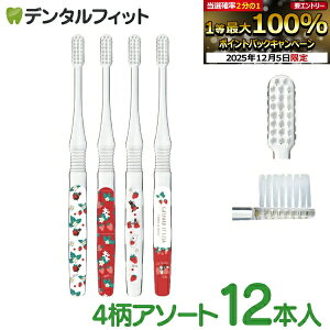 y10%OFFzCiG[g TƃKXp[EXgx[ 1(12{Zbg) 4A\[g Mӂ/S炩 yCifBJ Ȑꔄi I[e[p[ XNGAnh uV z