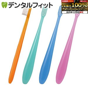 y50%OFFzCi ~fB~L[ / M ӂ / 5{(FA\[g)yCifBJ uVz