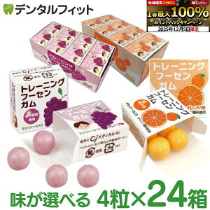 yGg[P14{+撅100~OFFN[| 12/4-12/11zLVg[K Ȑp Ȉ@pg[jO t[ZK(4×24) O[v/IW DK LVg[z Ԃǂ 