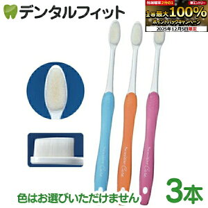 y撅100~OFFN[|+Gg[P5{ 12/4-12/11zZVeBuLA S炩 3{Zbg([4_܂) |Cg |Cg moߕq uVy[֑Iőz