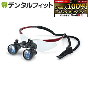 yGg[P5{ 12/4-12/11zDF2.5{XR[vyFTP+z(ȗp[y) / C yz