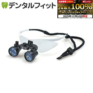 yGg[P5{ 12/4-12/11zDF2.5{XR[vyFTP+z(ȗp[y) /pXgbv p