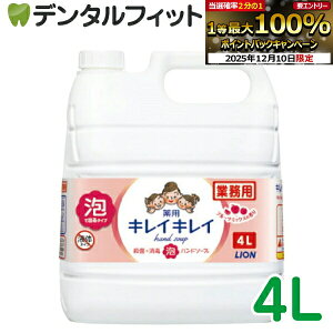 yGg[P5{ 12/4-12/11zLCLC pAnh\[v [LION] t[c~bNX̍ 4Ll