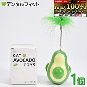 yGg[P5{ 12/4-12/11zA{Jh^܂у{[yLbgjbv {[ XgX  ] V r߂ ^ H }^^r LObYz