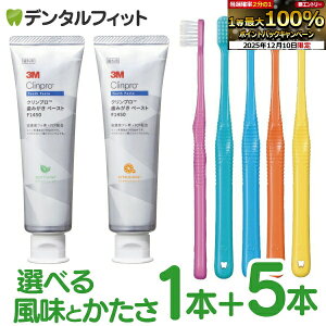 yGg[P5{ 12/4-12/11z3M Nv ݂y[XgF1450 \tg~gorVgX~g 1{(90g) Ci PRO FOUR 4񎕃uV 5{ (EhсEXpCcCсEe[p[)Zbg([