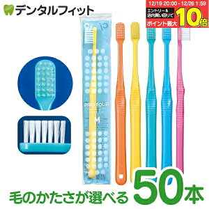 �y���G���g���[�ƓX��3�_�w����P10�{(12/19 20:00-12/26 1:59)�zCi PRO FOUR 4�񎕃u���V ���E���h�� 50�{�Z�b�g �v���t�H�[