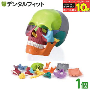 �y���G���g���[�ƓX��3�_�w����P10�{(12/19 20:00-12/26 1:59)�z�~�j�~�j�X�J��15���� 1�� ��̂Ђ�T�C�Y ���W�� �J���[ �l�̖͌^ ���� ��w��U�w �����w �p�Y�� �͌^ 15���� �[�� �{�֐� ���͌^ ��