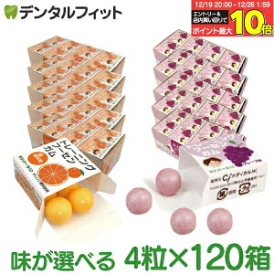 �y���G���g���[�ƓX��3�_�w����P10�{(12/19 20:00-12/26 1:59)�z�L�V���g�[���K�� ���Ȑ�p �g���[�j���O �t�[�Z���K��(4��×120��) �O���[�v��/�I�����W�� ���D�K�� �L�V���g�[���z�� �Ԃǂ��� �܂�