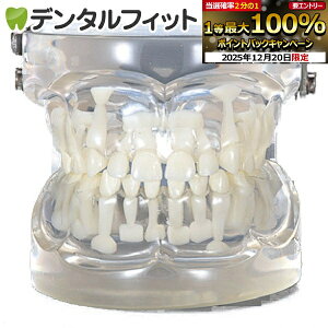 �y���G���g���[�ƓX��3�_�w����P10�{(12/19 20:00-12/26 1:59)�z�������� �i�v���������͌^ �i�v���G�o�O(4�`6�΍�) �y���������z