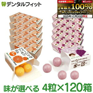 �y���G���g���[�ƓX��3�_�w����P10�{(12/19 20:00-12/26 1:59)�z�L�V���g�[���K�� ���Ȑ�p �g���[�j���O �t�[�Z���K��(4��×120��) �O���[�v��/�I�����W�� ���D�K�� �L�V���g�[���z�� �Ԃǂ��� �܂�