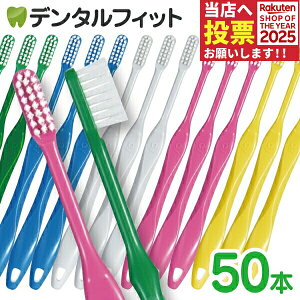 Ci X}[g/ Mӂ / 50{ yCifBJ uVzyE ٓ  Mtg E ٓ v[g ސE  v`Mtg  z Az