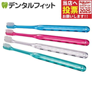 y|Cg5{ 11/1 0:00-23:59zCi AVXg / S炩 4{yCifBJ uVz