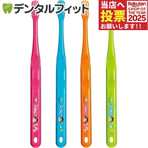 y|Cg5{ 11/1 0:00-23:59zCi 702 Eh Mӂ yR񁕃|R 4{ZbgyCifBJ uVz