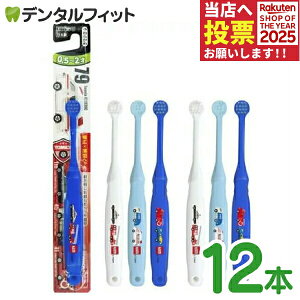 y|Cg5{ 11/1 0:00-23:59zGrX qǂpuV 0.5`2Ό(炩) g~J 12{ yz