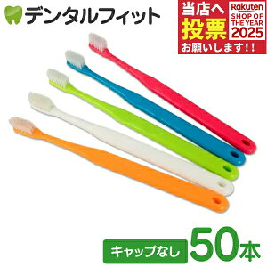 y|Cg5{ 11/1 0:00-23:59zCi 703 ɔwbh / MS炩 50{yCifBJ uVz