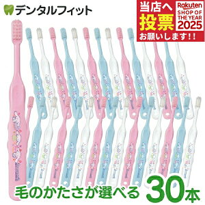 yGg[ƓX3_wP10{(11/20 20:00-11/27 1:59)zCi 502 Mӂ or 503 S炩 TI Vi[ 3FA\[g 30{yCifBJ uVzi[2_܂Łj Vi