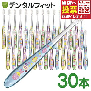 y|Cg5{ 11/14 10:00-11/16 23:59zCi ~j uVu~fB XvOvC[X^[ Mӂ 30{ (5FA\[g)yCifBJ Ȑp 킢  e K oj[ GbO ܂ ^