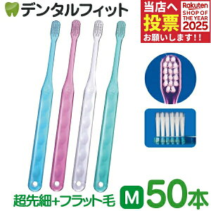 y|Cg5{ 11/1 0:00-23:59zCi AVXg ז+tbg / Mӂ 50{yCifBJ uVz