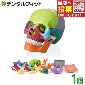 y|Cg5{ 11/1 0:00-23:59z~j~jXJ15 1 ̂ЂTCY W J[ l̖͌^  wUw w pY ͌^ 15 [ {֐ ͌^ i  \ gݗ y