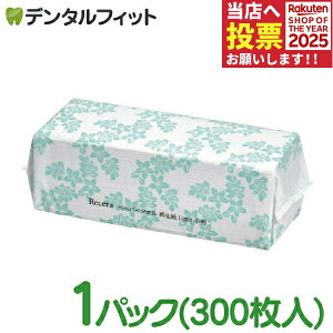 Z y[p[^IĐLight / 1pbN(300) Đ100 G{XH nCA pbP[W