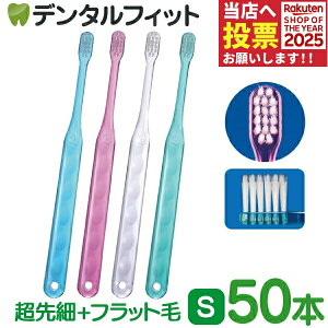 y|Cg5{ 11/1 0:00-23:59zCi AVXg ז+tbg / S炩 50{yCifBJ uVz