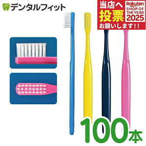 y|Cg5{ 11/1 0:00-23:59zCi 102AD / Mӂ 100{yCifBJ uVz