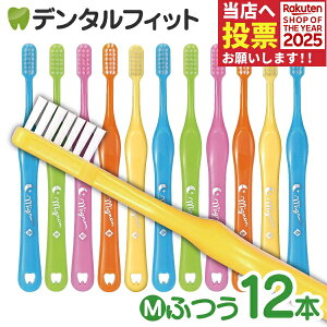 y|Cg5{ 11/1 0:00-23:59zȗp Mignon-~j- qp uV Mӂ ܓ 12{yCifBJ uVzi[2_܂Łjy[֑Iőz